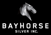 BHS_Logo.jpg
        