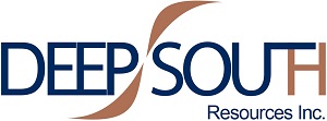 DSM_Logo.jpg
        